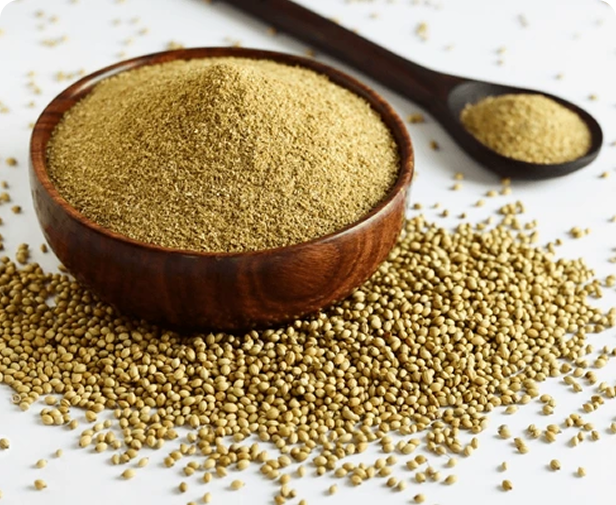 Coriander Powder