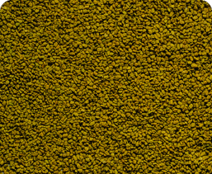 Fenugreek Seeds