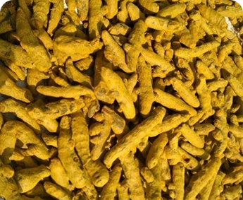 Turmeric Fingers