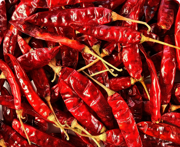 Dry Red Chilli